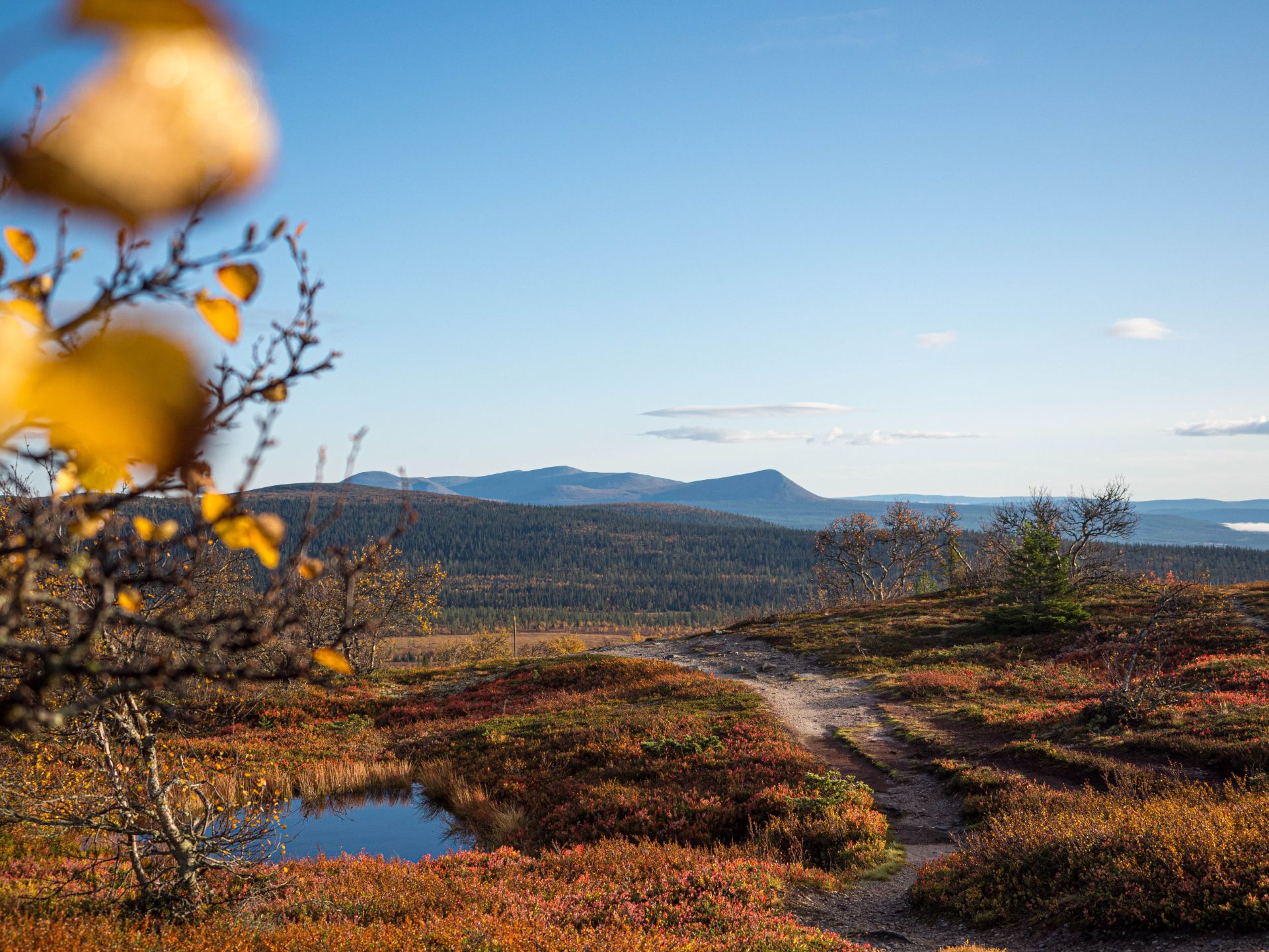Vacker höstvy i Lofsdalen
