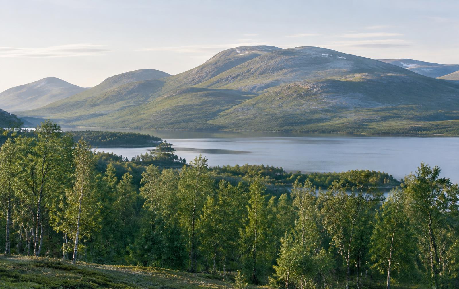 Lapplandspilen