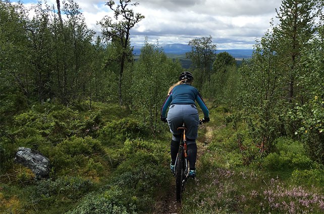 cykla-på-fjället