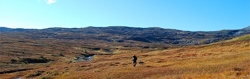 Kolåsens Fjällhotell