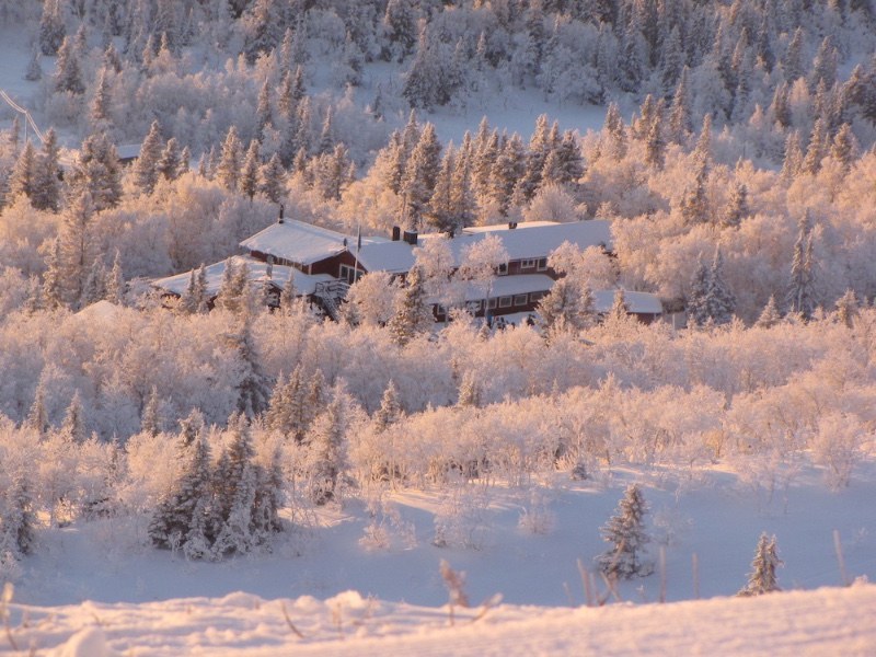 Buustamons Fjällgård