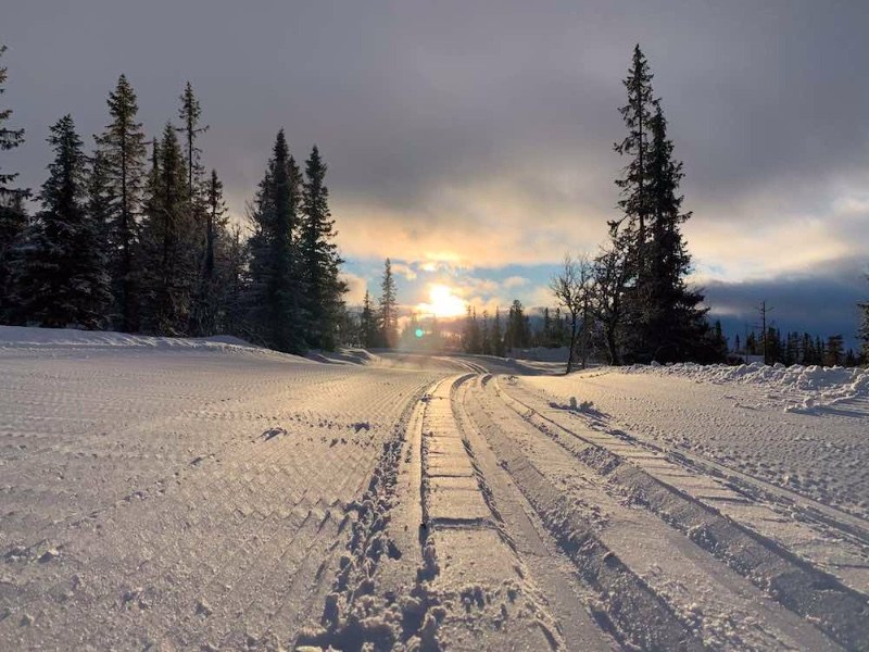 Lofsdalens Turistbyrå