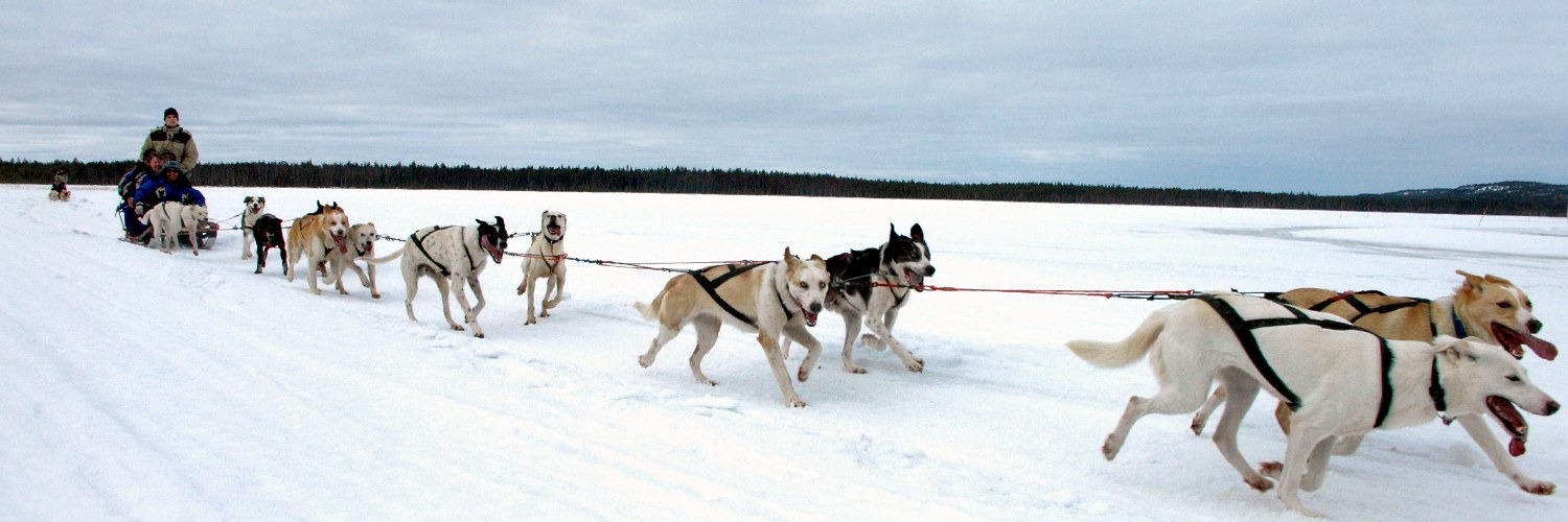 Ebbenjarka