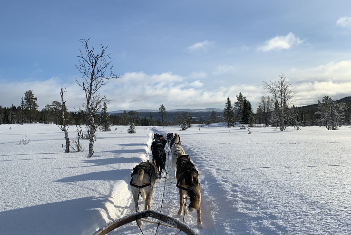 The Howling Dog Farm